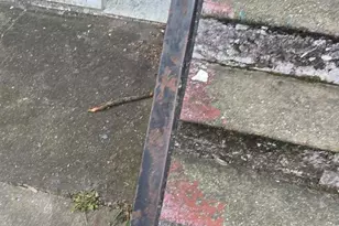 2027 Clifton Ave, Baltimore, MD 21217 - Photo 13