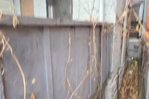 1719 N Payson St, Baltimore, MD 21217 - Photo 19