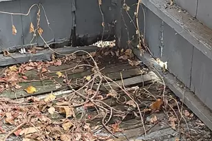 1719 N Payson St, Baltimore, MD 21217 - Photo 47