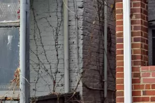 1719 N Payson St, Baltimore, MD 21217 - Photo 15