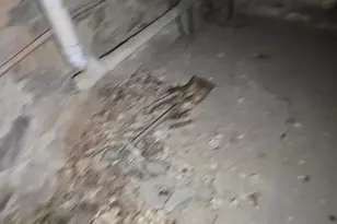 1719 N Payson St, Baltimore, MD 21217 - Photo 109