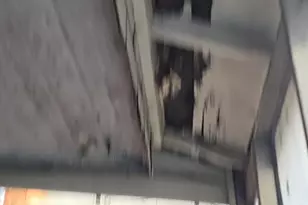 1719 N Payson St, Baltimore, MD 21217 - Photo 43