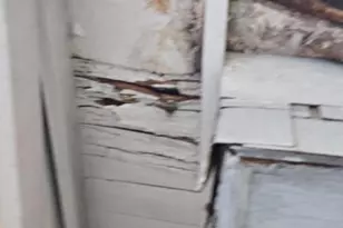 1719 N Payson St, Baltimore, MD 21217 - Photo 41