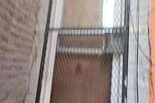 1719 N Payson St, Baltimore, MD 21217 - Photo 25