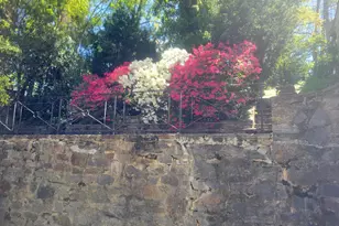 5211 Springlake Way, Baltimore, MD 21212 - Photo 11