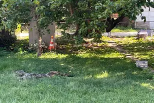 4217 Ridgewood Ave, Baltimore, MD 21215 - Photo 15