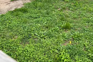 1207 Myrtle Ave, Baltimore, MD 21217 - Photo 11