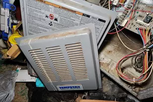 3225 Noble St, Baltimore, MD 21224 - Photo 53