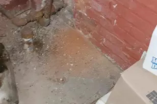 3202 Presbury St, Baltimore, MD 21216 - Photo 37