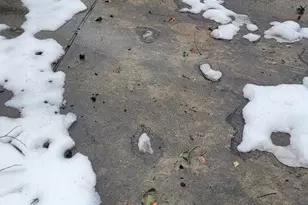 3202 Presbury St, Baltimore, MD 21216 - Photo 81