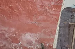 3202 Presbury St, Baltimore, MD 21216 - Photo 23