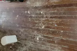 3202 Presbury St, Baltimore, MD 21216 - Photo 63