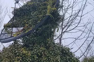 3202 Presbury St, Baltimore, MD 21216 - Photo 73