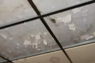 3202 Presbury St, Baltimore, MD 21216 - Photo 9