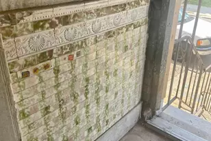 43 Wheeler Ave N, Baltimore, MD 21223 - Photo 3