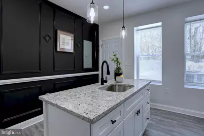 1729 Braddish Avenue, Baltimore, MD 21216 - Photo 13