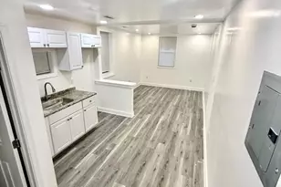 1007 Brentwood Ave, Baltimore, MD 21202 - Photo 5