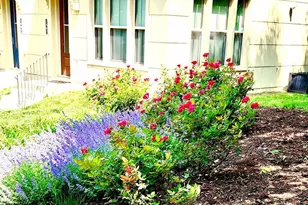 1313 Benjamin St, Baltimore, MD 21230 - Photo 55