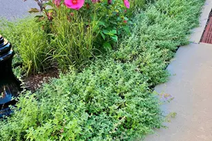 1313 Benjamin St, Baltimore, MD 21230 - Photo 7