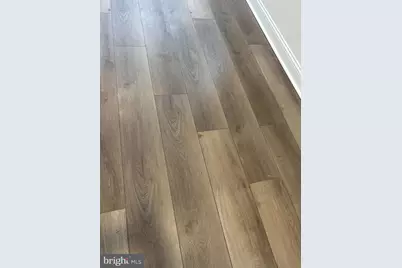 719 N Madeira Street, Baltimore, MD 21205 - Photo 3