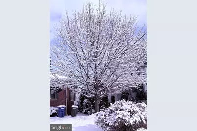 5609 Woodcrest Avenue, Baltimore, MD 21215 - Photo 7