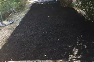 313 E 33rd St, Baltimore, MD 21218 - Photo 13