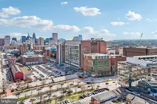 116 Violet Hill White Way, Baltimore, MD 21201 - Photo 39