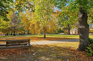 1308 W Lexington St, Baltimore, MD 21223 - Photo 11