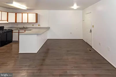 1009 Hillman Street, Baltimore, MD 21202 - Photo 7