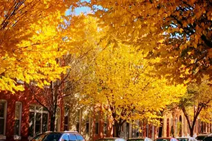 1628 S Charles St, Baltimore, MD 21230 - Photo 33