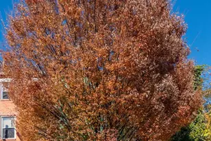 1216 W Pratt St, Baltimore, MD 21223 - Photo 29