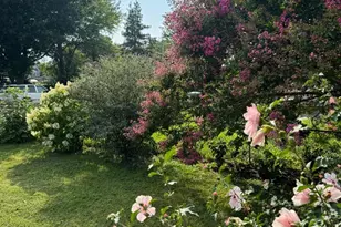 2411 Arbuton Ave, Baltimore, MD 21230 - Photo 17