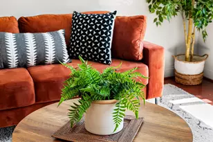 406 W 23rd St, Baltimore, MD 21211 - Photo 5