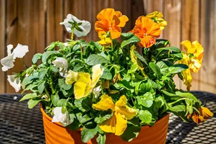 406 W 23rd St, Baltimore, MD 21211 - Photo 41