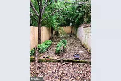 534 Saint Mary Street, Baltimore, MD 21201 - Photo 11