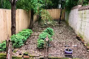 534 St Mary St, Baltimore, MD 21201 - Photo 11