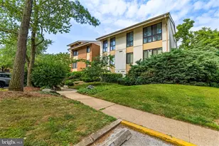 19 Hamill Rd, Baltimore, MD 21210 - Photo 27