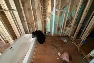 1523 N Patterson Park Ave, Baltimore, MD 21213 - Photo 15