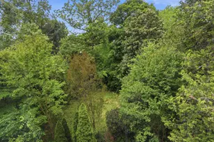 6008 Clearspring Rd, Baltimore, MD 21212 - Photo 53