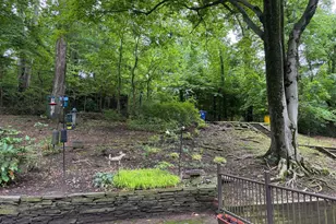 2215 Cross Country Blvd, Baltimore, MD 21209 - Photo 13