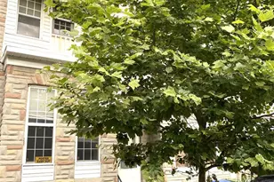 1321 James St, Baltimore, MD 21223 - Photo 1