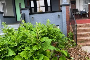1156 N Longwood St, Baltimore, MD 21216 - Photo 1