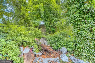 2613 Francis St, Baltimore, MD 21217 - Photo 5