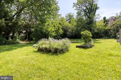 806 Homestead Street, Baltimore, MD 21218 - Photo 29
