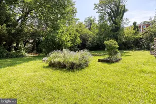 806 Homestead St, Baltimore, MD 21218 - Photo 29