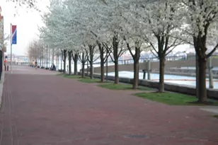 250 President St, Baltimore, MD 21202 - Photo 21