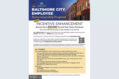 1008 E Biddle Street, Baltimore, MD 21202 - Photo 31