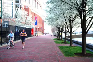 250 President St, Baltimore, MD 21202 - Photo 31