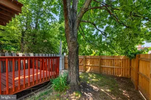 109 Scott St, Baltimore, MD 21201 - Photo 33