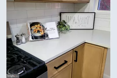 1517 N Ellamont Street, Baltimore, MD 21216 - Photo 49